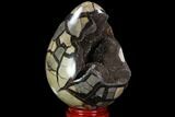Septarian Dragon Egg Geode - Black Crystals #98850-2